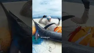 Grosse surprise en p&ecirc;chant &agrave; Tahiti 🏝️🐟#Peche #vlog #Tahiti
