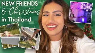 New Friends & Christmas in Thailand 🥰 | Aashna Hegde