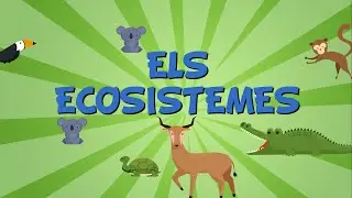 Els ecosistemes | V&iacute;deos educatius per a nens en llengua catalana