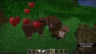 Minecraft voyages:  jungle, sunflower plains & birch forest