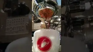 Profitec Pro 700 w/78 Espresso Blend & Hottop