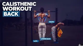 Back & Biceps Home Workout 💪 | Calisthenics Pull Day | Beginners to Advance