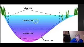 Lake and Ocean Zones