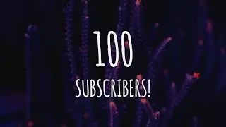 Thank You For 100 Subscribers!