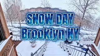SNOW DAY Sunset Park Brooklyn NY 