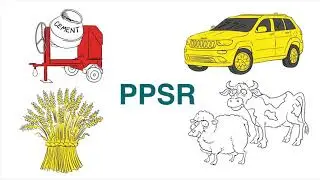 PPSR - PowerPoint Presentation