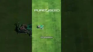 Consistency at Pure Seed
