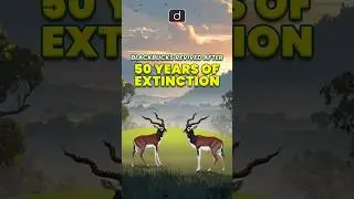Blackbuck Comeback | Barnawapara Sanctuary | Drishti IAS English | #shorts #Blackbuck #Conservation