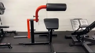 GMWD Ab Crunch Back Extension Machine