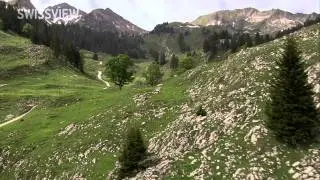 SWISSVIEW - FR, Breccaschlund