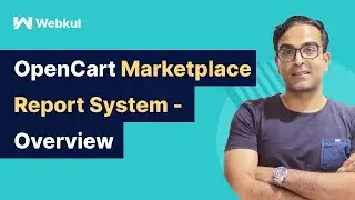 OpenCart Marketplace Report System Plugin - Overview