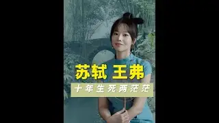 十年生死两茫茫。不思量，自难忘。#苏轼 #王弗 #古诗词 #传统文化 #浙里人民荐好书