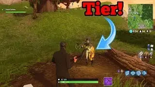 Where To Find The Week 10 Tier Star! - Fortnite Free Tier Location! - Fortnite Battle Royale