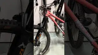 The Pinkmag - Chromag Stylus