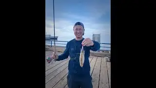 Enjoy the Fun of Summer Daytime Squid Fishing at The Peaceful Pacific Northwest