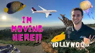 I AM MOVING TO LA!!