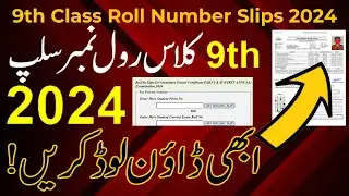 roll number slips for 9th class 2024,9th class roll number slips 2024,how to check roll no slip 9th