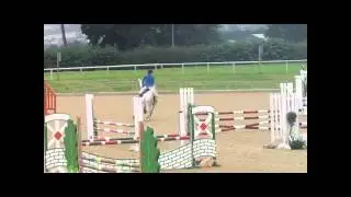 Dan Field House 80cm Open x
