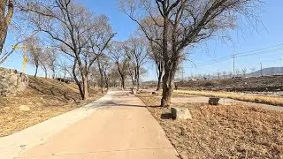 676th Running | 1/25/2026 | Lunch Run | 6km Jogging