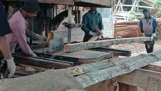 From Forest to Furniture: The Sawmill Process Explained
