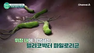유독 한국인에게 위암이 많이 발병되는 원인은? | 행복한 아침 1769 회