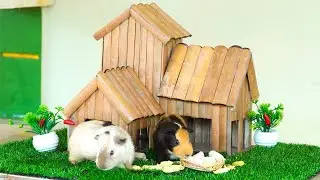 Building a Mini Bamboo House For My Guinea pig And Give Food For Them