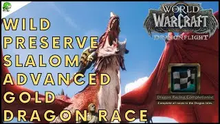 Dragonflight Wild Preserve Slalom Advanced Gold Dragon Race