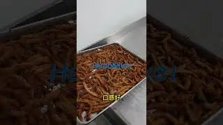 steam heating meat dryer biomass fuel beef jerky oven fish drying room