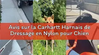 Avis sur la Carhartt Harnais de Dressage en Nylon pour Chien Carhartt Marron Taille M