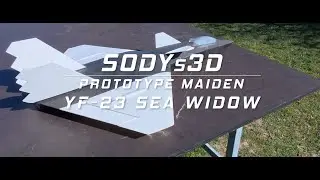NATF-23 Sea Widow Twin 40mm EDF 3D Printed Jet, easy to fly EDF Jet