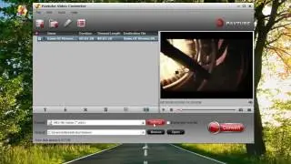Add subtitles to MKV with Pavtube Video Converter