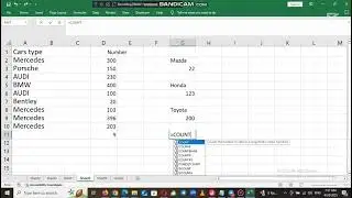 How to use CountBlank function on Excel