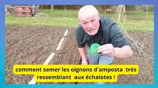 6 avril au jardin : comment semer les oignons d'amposta ( c est comme des echalotes ! )