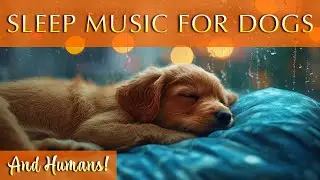 12-Hour Sleep Soundtrack for Dogs & Humans: Comforting Music for Sleep and Calm