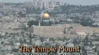 The Finding of the Child Jesus in the Temple