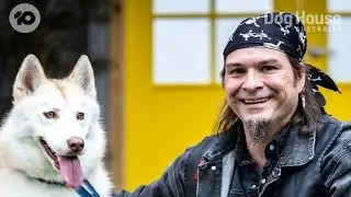 The Dog House Australia: Jason falls hard for husky Lara but is the feeling mutual?