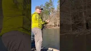 Mighty Small not Small but Mighty #bassfishing #fishing #shorts