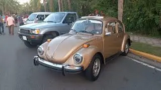 VW Super Beetle 