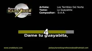 Los Terribles del norte LA GUAYABITA karaoke