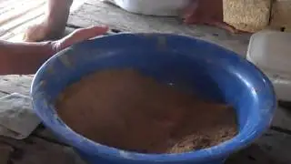 Manchinga molida, por primera vez en Peru