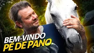 EMOCIONADO, DEPOIS DE 10 ANOS VOLTEI A TER CAVALO EM CASA! | A CASA DOS BICHOS