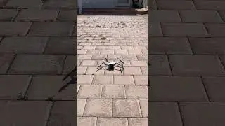 DJI Mini 3 Test Start #djimini3 #djimini #djidrone #dji