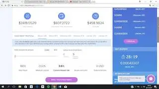 Bitpetite Biggest mistake EVER!!