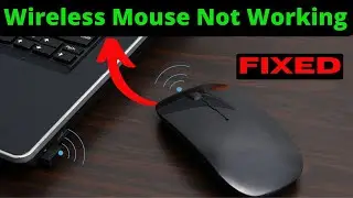 How to Fix Wireless Mouse Not Working on Windows 10 /11 || Dell, Logitech, HP, Lenovo