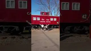 The Red Caboose Motel #motel #train #viral #adventure #travel #railroad #sleep #travel #memories #yt