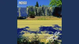Indigo
