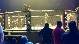 Bellator 196 Budapest - Adam Borics vs Teodor Nikolov