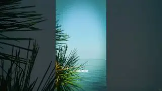 Calming the Mind with Pristine Views | Travel to the Unspoiled Coastlines of Lake Ontario, Canada