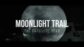 The Satellite Year 