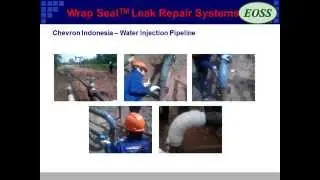 SealXpert - EOSS Singapore Pte,Ltd